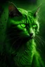 Placeholder: The Green Cat