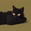 Placeholder: Gato negro durmiendo en la noche