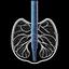 Placeholder: Lungs, Logo, 4k, high resolution