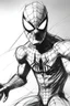 Placeholder: Spiderman sketch
