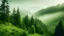 Placeholder: Green mountains with green pine trees and light green fog