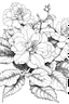 Placeholder: Begonia coloring page