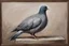 Placeholder: Pigeon 19th painting