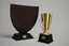 Placeholder: minimalistic trophy design for animation film festival