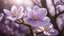 Placeholder: Half Tree Magnolia Flower Purple Light Translucent Layered Close-up Clear Distant Blur Poetic Photography Flat View Realistic 8K HD les fleurs de printemps, (violettes, jonquilles, narcisses, ) avec un fond de cascade