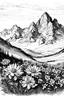 Placeholder: Flowers surrounded by mountains in the Alps, sketch drawing