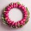 Placeholder: Round picture frame in the colors of dragon fruit on a light background to remove