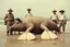 Placeholder: 1930's washed out faded color photography of European explorers dressed in khaki pants and clean pressed white button-down shirts and safari hats posing on a beach, limp knocked out colossal fantastical pig-like sea creature with flippers washed up on beach in front of them, absurd, realism,