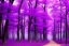 Placeholder: purple forest