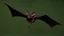 Placeholder: "Mexican free tailed bat" Flying, hyper details, HD qualify, also Semitic