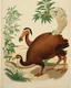 Placeholder: John James Audubon-like illustration of a fully uncropped Dodo bird and a Platypus in a chinoiserie landscape of warm yellows, warm reds, and warm blues