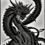 Placeholder: Ukiyo-e styled art, black and white dragon, full picture