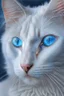 Placeholder: white cat blue eyes