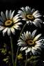 Placeholder: black small daisy flower painting