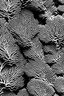 Placeholder: extact the coral pattern on the facade of this structure into the a black and white image having the coral pattern in high quality. make it an abstract coral pattern in 2D. have the coral pattern with just big voids and less solid