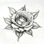 Placeholder: tattoo pencil sketch concept design of a ROSE whose petals have been made from $100 dollar bills, each petal looks like its made of paper money, use white to accentuate and hightlight