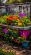 Placeholder: A Bathtub Al of it filled with dirt to the top, and in growing a colorful flowers , some of them are tingling down on the sides in an abandoned backyard
