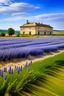 Placeholder: Uma imagem idílica de extensos campos de lavanda em plena floração na região da Provença, com uma fazenda de pedra ao fundo.