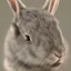 Placeholder: hyper realistic rabbit in sam yuang style