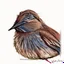 Placeholder: Portrait of a dunnock with art markers