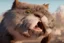 Placeholder: animation film festival creative mascot