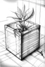 Placeholder: a plant inside a cube pencil sketch