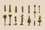 Placeholder: "Isolated concept art of multiple types of alien tree plant on a plain neutral background. Designed for Desert biome – dry, spiky, brittle grass with sharp edges, and pale dusty colors