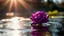 Placeholder: a purple rose floating on the water,,8k,rays of sunlight,bokeh,using the Sony Alpha A7R IV,