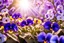 Placeholder: magic garden with pansy, purple or parma flowers, parma or blue light effects colors, sun, realistic, beautiful blooming trees in spring, pansy flowers, highly detailed, high contrast, 8k, high definition, concept art, sharp focus