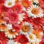 Placeholder: gerbera daisy flower on white background, illustration, seamless tileable texture