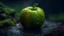 Placeholder: A vibrant apple sitting on a wet rock covered with moss. The image showcases naturalism with an organic 8k artistic photography style. The background emphasizes the apple body creating a bright and powerful composition,grey dark backround,dramatic scene