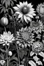 Placeholder: flowers black white style engraving hortus floridus