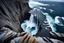 Placeholder: massive intimidating rock cliffs ascend all around and further up out of view. far below, the stormy ocean swirls intimidatingly. The ocean water falls off a waterfall down into a circular pit