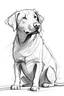 Placeholder: whole dog in sketch