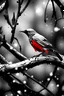 Placeholder: The month of January as a bird in black and white with a splash of red.