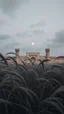 Placeholder: Windblown grass with winds with clouds and moon in the background, high quality picture 8k, beautiful cinematic lighting and all gray colors , a big old Islamic walls with towers and big gate in background