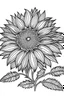 Placeholder: A cute and beautiful coloring page of sunflower