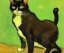 Placeholder: Portrait of a cat by Van Gogh