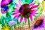 Placeholder: Create a surreal abstract watercolor and ink painting of an Echinacea in a garden. In the style of Paul Klee, Picasso, Matisse. Geometric. Map like qualities. Modifiers: elegant intricate beautiful high detail high definition crisp quality colourful zentangle