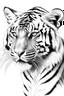 Placeholder: Draw Arabian Tiger