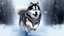 Placeholder: Alaskian Malamute running through the snow, furry style, shamanism, fish