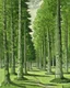 Placeholder: A green forest with giant trees designed in Ica stones painted by Maurice Utrillo