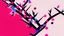 Placeholder: sakura theme
