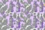 Placeholder: ENGLISH POPART LAVENDER theme PATTERN