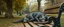 Placeholder: master oil painting by Rembrandt, fat old rat dragon sleeping on a bench in the park