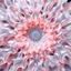 Placeholder: Mesmerizing abstract 3d visual, mass of flowing translucent shapes, centered, soft aesthetic, negative space.