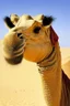 Placeholder: camel with human face