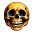 Placeholder: ANATOMICALLY CORRECT digital photograph of the SKULL OF A SMILEY FACE by davinci with fine line,