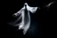 Placeholder: looking down at a female shaped transparant Ghost like vapor with arms flailing in the moonlight while hovering in mid air