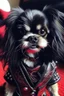 Placeholder: little dog , looks like the demon from the band KISS ,